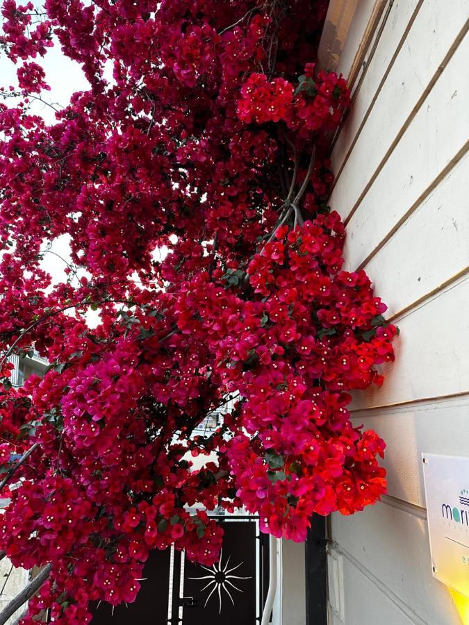 Mariviva Guest House Terracina Exterior foto